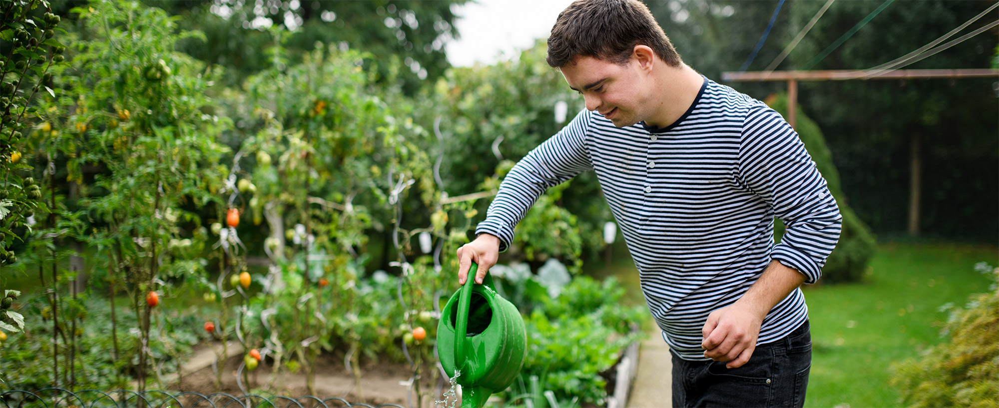 man watering plants